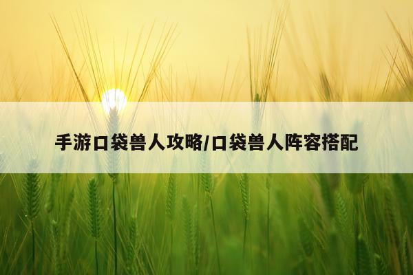 手游口袋兽人攻略/口袋兽人阵容搭配