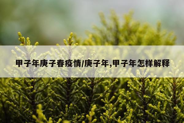 甲子年庚子春疫情/庚子年,甲子年怎样解释