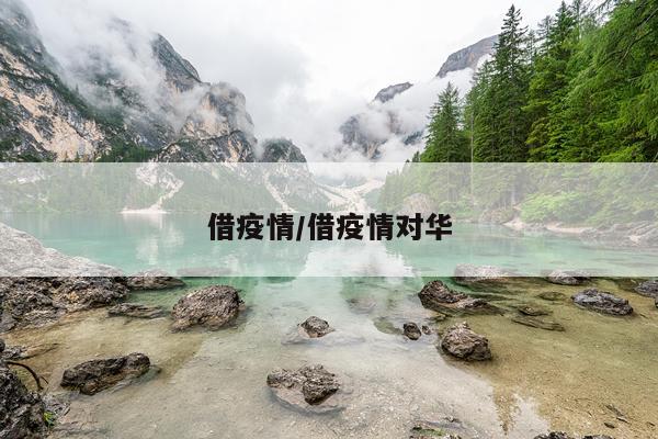 借疫情/借疫情对华