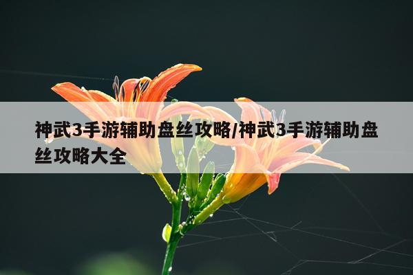 神武3手游辅助盘丝攻略/神武3手游辅助盘丝攻略大全