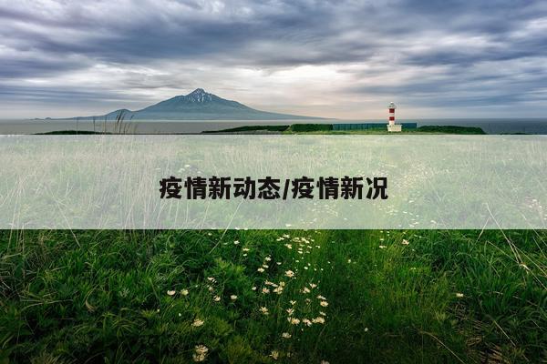 疫情新动态/疫情新况