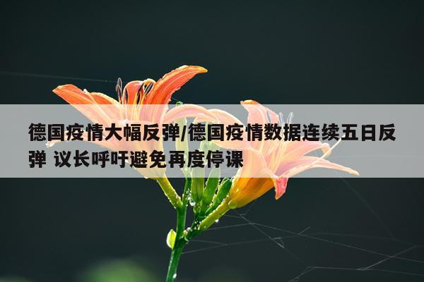 德国疫情大幅反弹/德国疫情数据连续五日反弹 议长呼吁避免再度停课