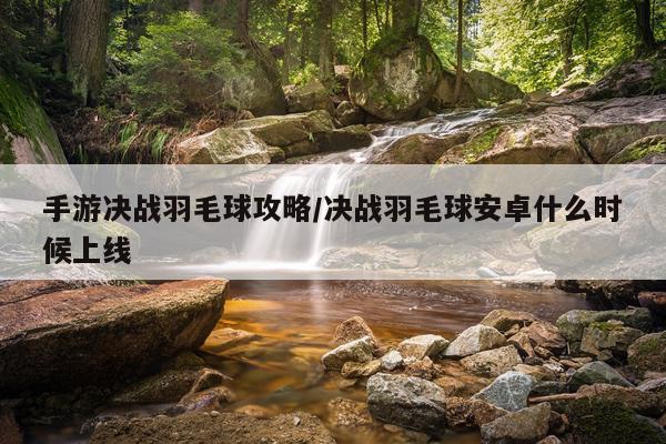 手游决战羽毛球攻略/决战羽毛球安卓什么时候上线