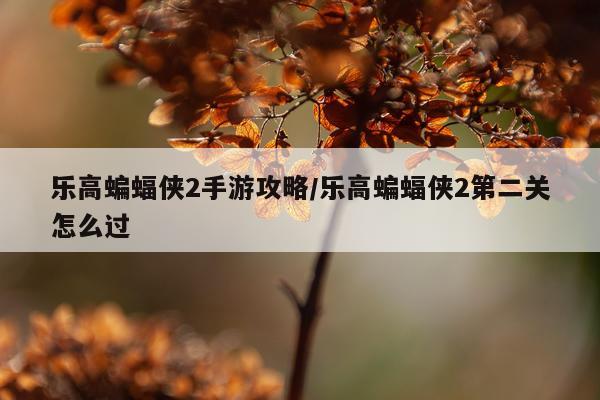 乐高蝙蝠侠2手游攻略/乐高蝙蝠侠2第二关怎么过
