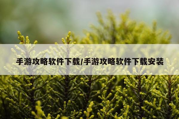 手游攻略软件下载/手游攻略软件下载安装