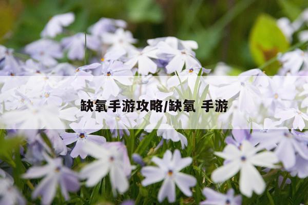 缺氧手游攻略/缺氧 手游