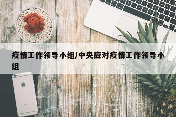 疫情工作领导小组/中央应对疫情工作领导小组