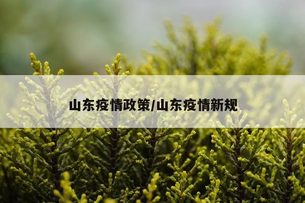 山东疫情政策/山东疫情新规