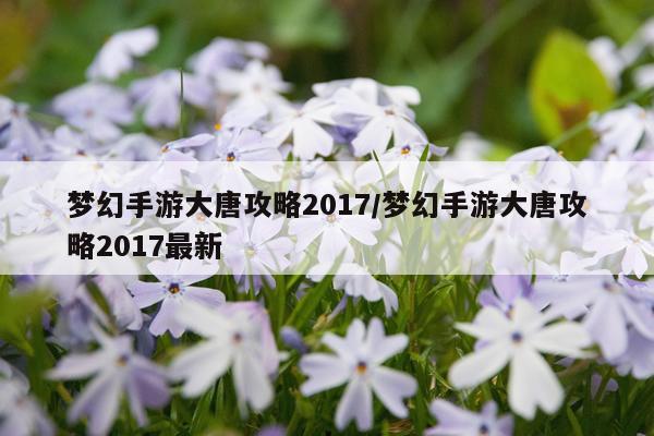 梦幻手游大唐攻略2017/梦幻手游大唐攻略2017最新