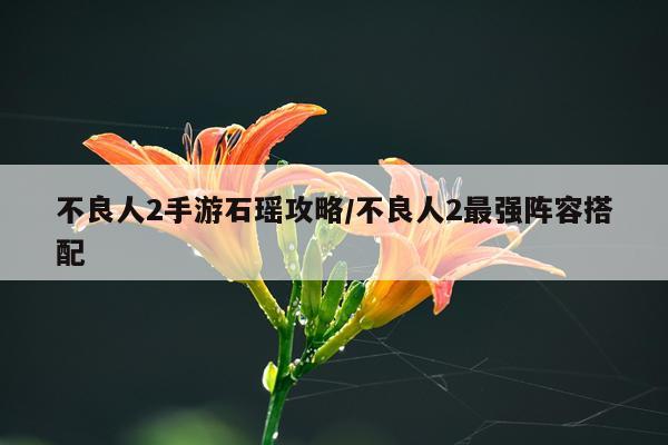 不良人2手游石瑶攻略/不良人2最强阵容搭配