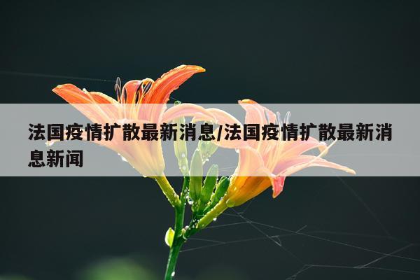 法国疫情扩散最新消息/法国疫情扩散最新消息新闻
