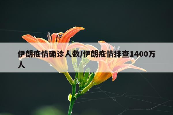 伊朗疫情确诊人数/伊朗疫情排查1400万人