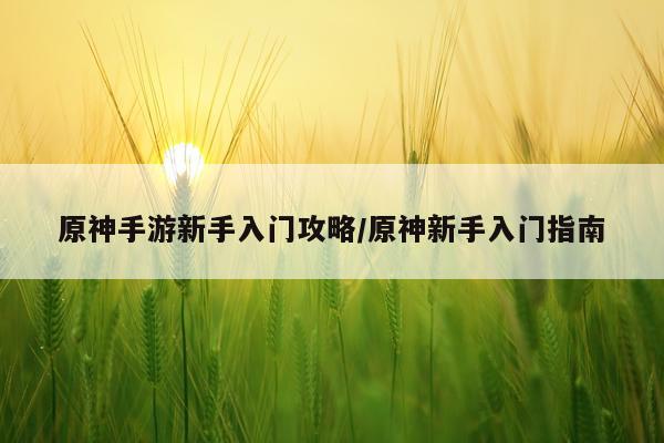 原神手游新手入门攻略/原神新手入门指南