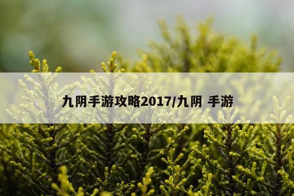 九阴手游攻略2017/九阴 手游