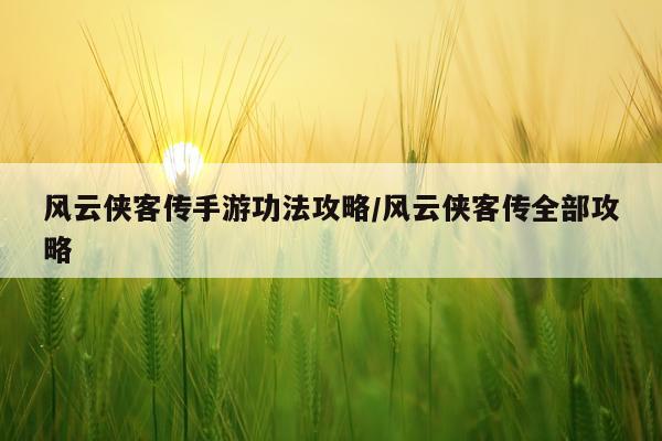 风云侠客传手游功法攻略/风云侠客传全部攻略