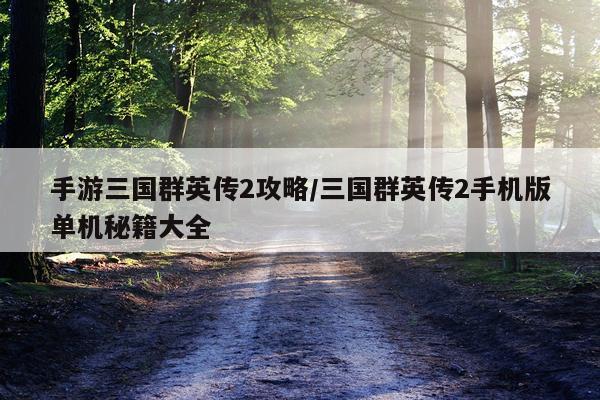 手游三国群英传2攻略/三国群英传2手机版单机秘籍大全