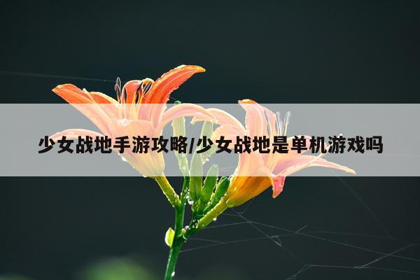 少女战地手游攻略/少女战地是单机游戏吗