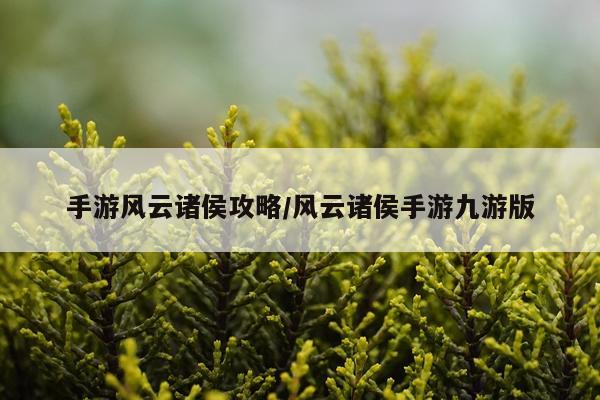 手游风云诸侯攻略/风云诸侯手游九游版