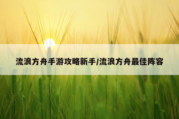 流浪方舟手游攻略新手/流浪方舟最佳阵容