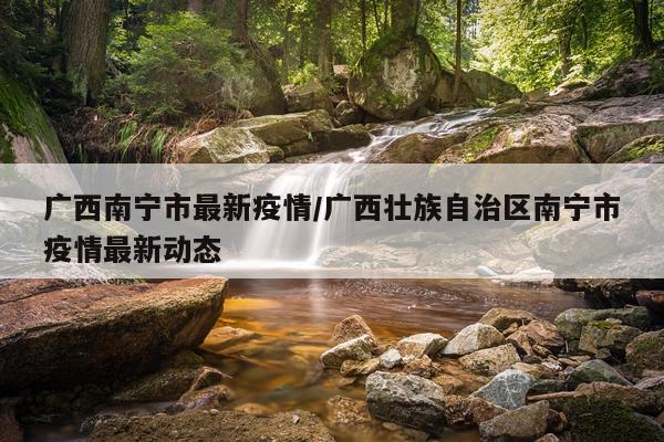 广西南宁市最新疫情/广西壮族自治区南宁市疫情最新动态