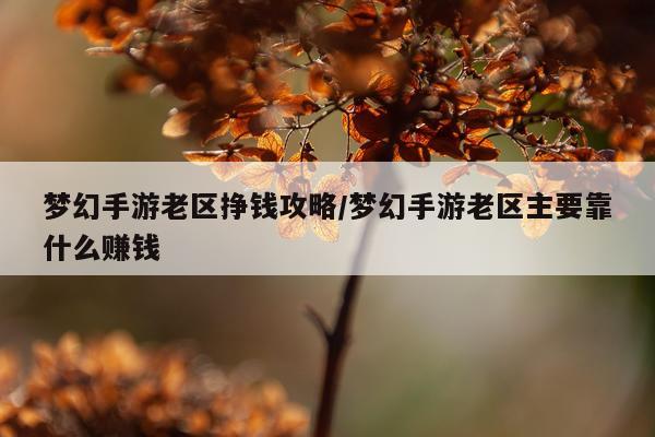 梦幻手游老区挣钱攻略/梦幻手游老区主要靠什么赚钱