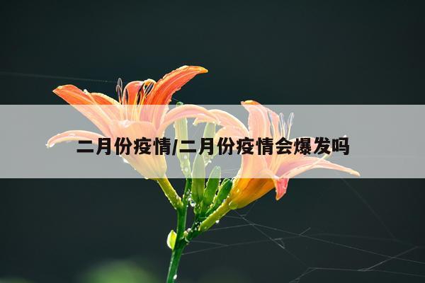 二月份疫情/二月份疫情会爆发吗