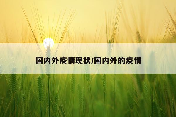 国内外疫情现状/国内外的疫情