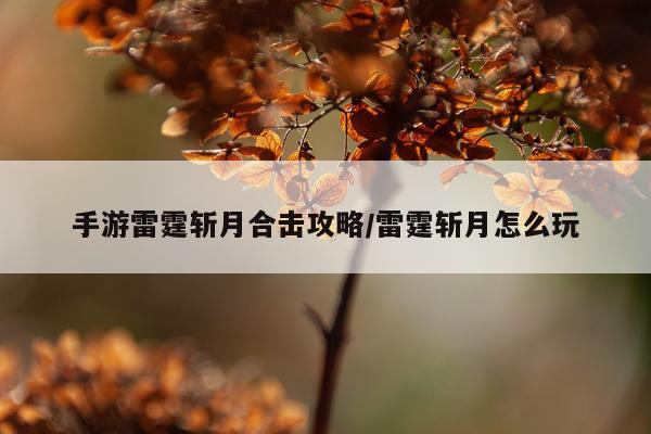 手游雷霆斩月合击攻略/雷霆斩月怎么玩