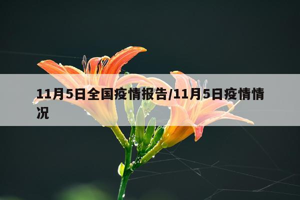 11月5日全国疫情报告/11月5日疫情情况