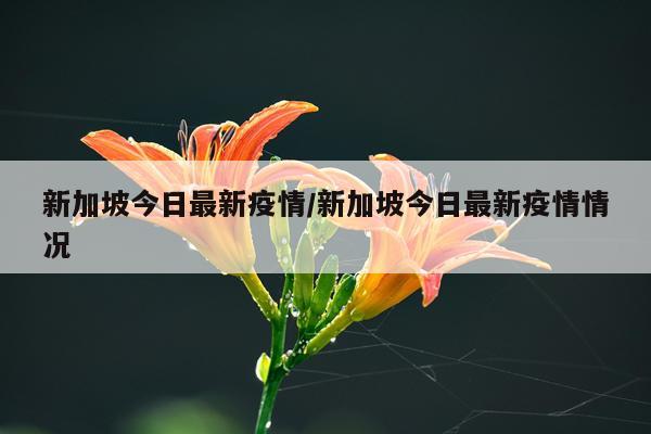 新加坡今日最新疫情/新加坡今日最新疫情情况