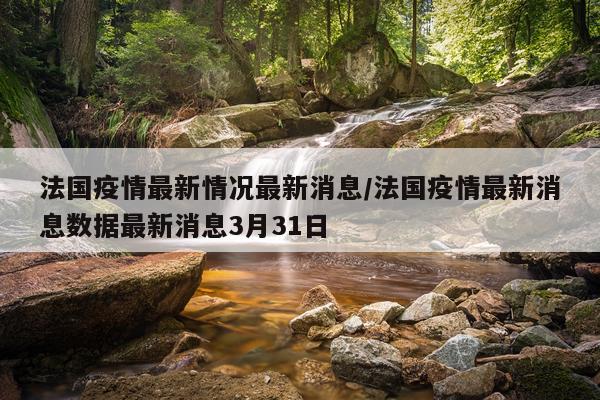 法国疫情最新情况最新消息/法国疫情最新消息数据最新消息3月31日