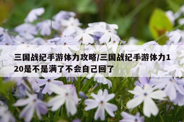 三国战纪手游体力攻略/三国战纪手游体力120是不是满了不会自己回了