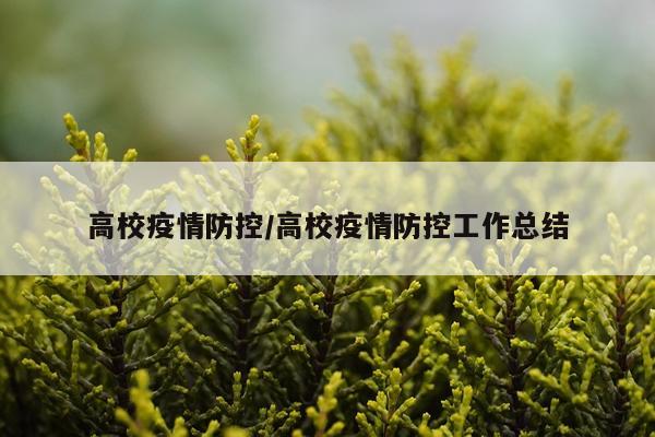 高校疫情防控/高校疫情防控工作总结