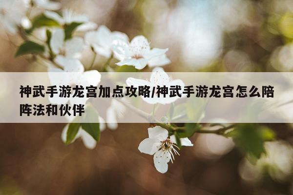 神武手游龙宫加点攻略/神武手游龙宫怎么陪阵法和伙伴