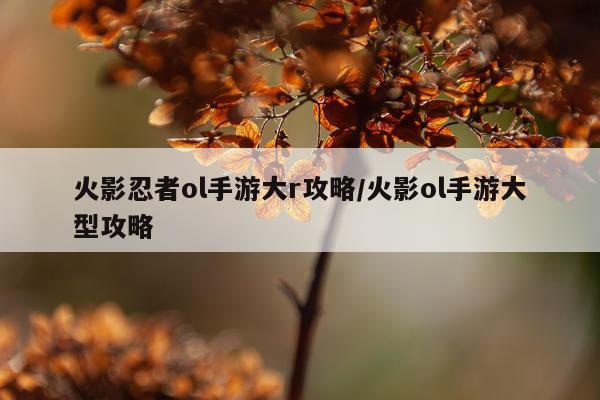 火影忍者ol手游大r攻略/火影ol手游大型攻略