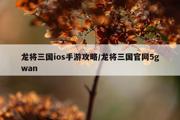 龙将三国ios手游攻略/龙将三国官网5gwan