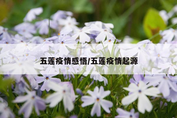 五莲疫情感悟/五莲疫情起源