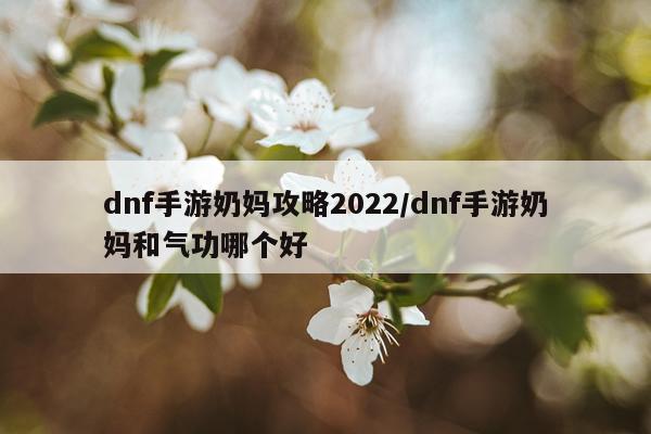 dnf手游奶妈攻略2022/dnf手游奶妈和气功哪个好