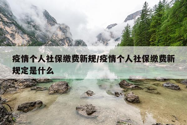 疫情个人社保缴费新规/疫情个人社保缴费新规定是什么