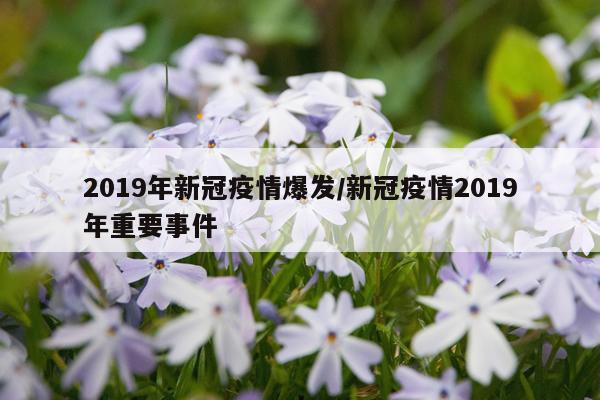 2019年新冠疫情爆发/新冠疫情2019年重要事件