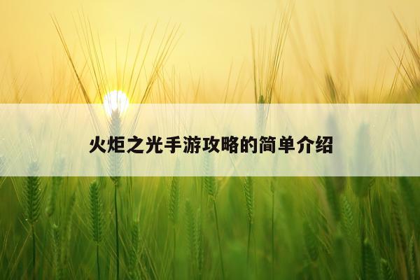火炬之光手游攻略的简单介绍