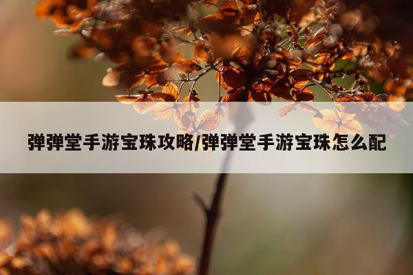 弹弹堂手游宝珠攻略/弹弹堂手游宝珠怎么配