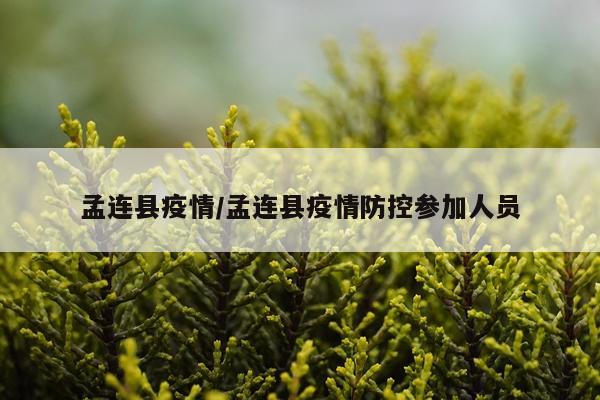 孟连县疫情/孟连县疫情防控参加人员