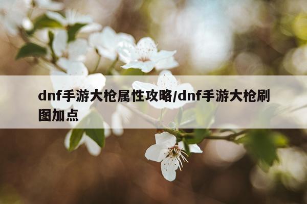 dnf手游大枪属性攻略/dnf手游大枪刷图加点