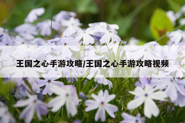 王国之心手游攻略/王国之心手游攻略视频
