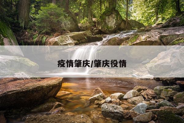 疫情肇庆/肇庆役情