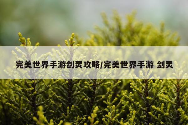 完美世界手游剑灵攻略/完美世界手游 剑灵