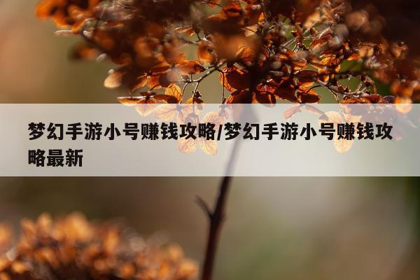 梦幻手游小号赚钱攻略/梦幻手游小号赚钱攻略最新