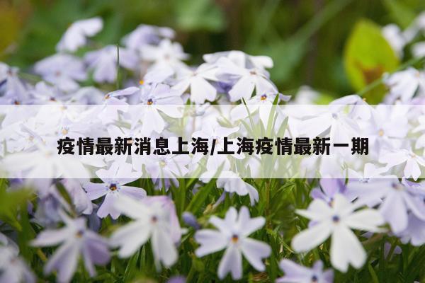 疫情最新消息上海/上海疫情最新一期