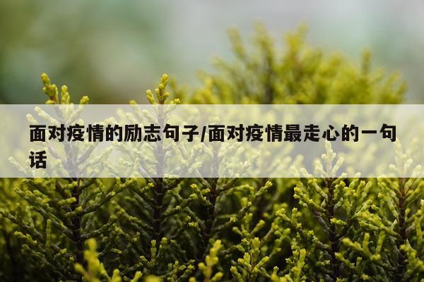 面对疫情的励志句子/面对疫情最走心的一句话